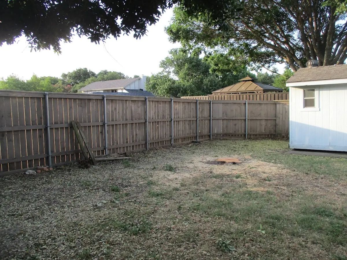 Cleared yard after professional tree removal in Oro Grande